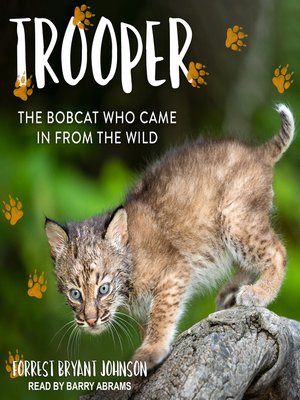 cover image of Trooper